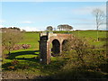 NX6953 : Remains of the Bridge - 2 by Andy Farrington