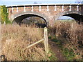 TM3976 : Swan Lane footpath by Geographer