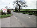 SJ5454 : The A534 (Wrexham Road) at Ridley by Jeff Buck