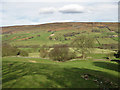 SE6794 : Farndale view by Pauline E