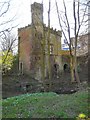 SJ9595 : Brookbank Folly Castle by Gerald England