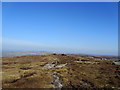 SD9335 : Summit Ridge on Boulsworth Hill by Chris Heaton