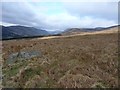 NO3671 : View up Glen Clova by Richard Law