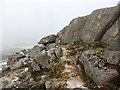 NN0445 : Granite step, Meall Garbh by Richard Webb