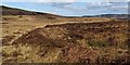 NS3678 : Old boundary on Carman Muir by Lairich Rig