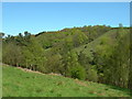 SD9830 : Bridge Clough by John Topping