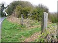 NZ1459 : Disused gateposts, Ashtree Lane by Christine Johnstone