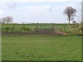 NZ1755 : Fenced farmland east of the B6173 by Christine Johnstone