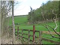 NZ1545 : Farmland and plantation, Browney valley by Christine Johnstone