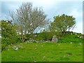 NX3641 : Derelict Cottage by Blairbuy Loch by Andy Farrington