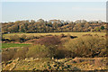 SS8477 : View towards ancient woodland, Y Graig by eswales