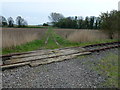 TF4406 : Level crossing on the Wisbech to March railway by Richard Humphrey