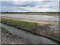 SE4602 : New lake at RSPB Adwick washlands by Steve  Fareham