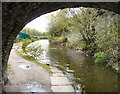 SJ9398 : Ashton Canal by Gerald England