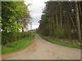 NU0236 : The tree lined road to Laverock Law Farm by Graham Robson