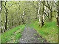 SE0422 : Stansfield Mill Lane, Norland by Humphrey Bolton