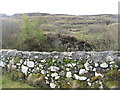 NM4223 : Scrubby hillside above Kilpatrick Cemetery by M J Richardson