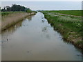 TL4482 : Counter Drain near Fortrey's Hall - The Ouse Washes near Mepal by Richard Humphrey