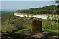 SU8935 : The Sailor's Stone, Hindhead, Surrey by Peter Trimming