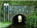 SK0247 : Froghall Tunnel, Caldon Canal by Christine Johnstone