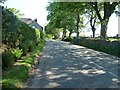 SK0250 : High Street, Ipstones, looking north by Christine Johnstone