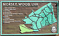 TQ6995 : Norsey  Wood map by Roger Jones