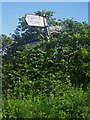 NU0342 : Road sign in hedge near Low Lynn by Graham Robson