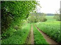 NZ0579 : Byway from Bradford to Belsay Barns by Oliver Dixon