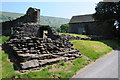 SO2827 : Ruins near Llanthony Priory by Philip Halling