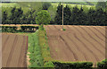 J2964 : Ploughed fields, Tullynacross near Lisburn (2) by Albert Bridge