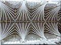 SX9292 : Palm vaulted roof, Exeter Cathedral by Rob Farrow