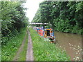 SJ6675 : Working Narrow Boat Hadar moored at Marbury Country Park, Anderton by Keith Lodge