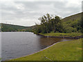 SJ9898 : Walkerwood Reservoir by David Dixon