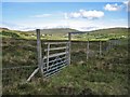 NG1847 : Gate in the deer fence by Richard Dorrell