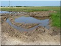 TA0871 : Flooding at the field edge by Christine Johnstone