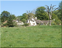  : Mill Farm near Cwmavon by Jaggery