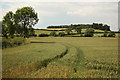 SK9145 : View towards Loveden Hill by Richard Croft