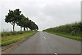 SK9696 : Kirton Road (B1205) towards the A15 by J.Hannan-Briggs