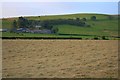 SN6084 : Hayfield near Clarach by Mick Garratt