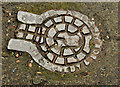 C8432 : Kennedy access cover, Coleraine by Albert Bridge