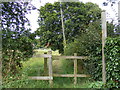 TM3679 : Footpath to the Playing Field & Lodge Lane by Geographer