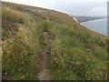 SZ3585 : IOW coastal path above Freshwater Cliff by David Smith