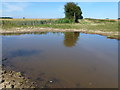 TF8134 : Large puddle on the crossroads near Barmer, Norfolk by Richard Humphrey