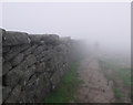 J3527 : The Mourne Wall on Slieve Donard by Rossographer