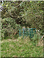 SS8582 : Kissing gate on footpath to the south of Cefn Cribwr by eswales