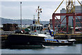 J3675 : Tug 'Smit Tiger' at Belfast by Rossographer