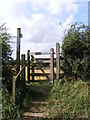 TM3976 : Swan Lane footpath to the A144 Saxons Way by Geographer