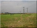 NU2032 : Line of electricity posts and wires, near Springhill by Graham Robson