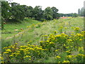 NT4175 : Looking north from the grounds of Seton Chapel by M J Richardson