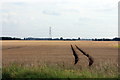 TF7215 : Ripening cornfields, West Bilney by Peter Turner